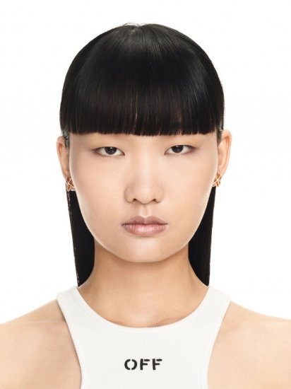 Off-White Mini Arrow Strass Earrings - Gold - Click Image to Close